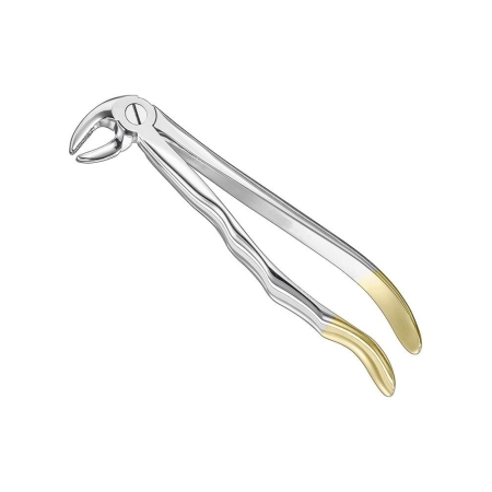 Extracting forceps, anat.